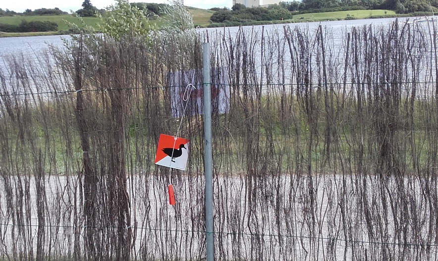 Caponord à l’été au Puythouck